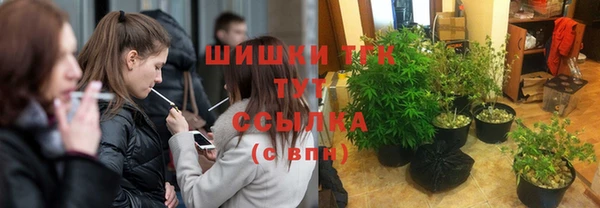 МДПВ Карпинск