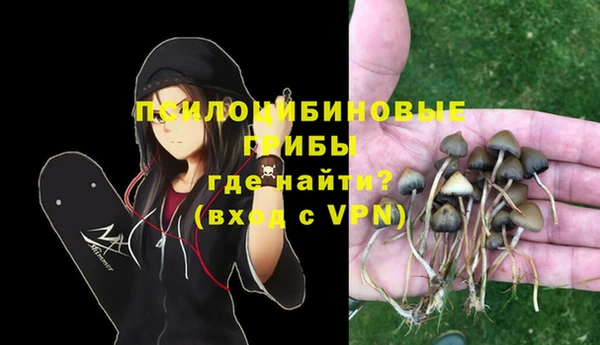 хмурый Касимов