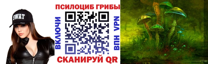 Купить  Лихославль  Галлюциногенные грибы MAGIC MUSHROOMS 